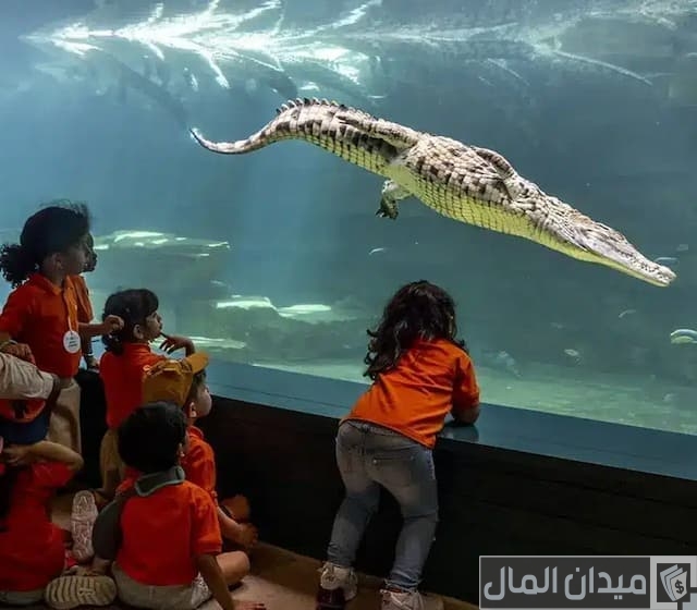 حديقة التماسيح دبي