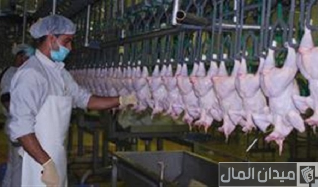 دراسة جدوى مجزر دواجن يدوي