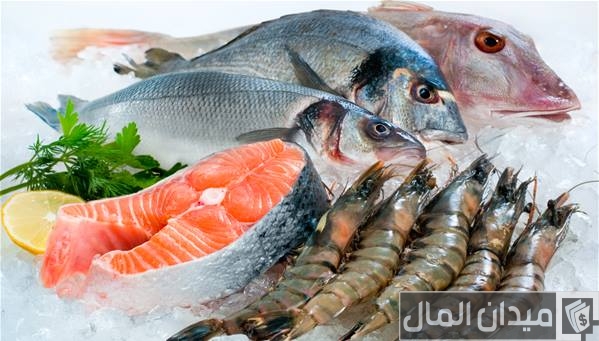 دراسة جدوى مشروع محل أسماك وأرباحه الشهرية