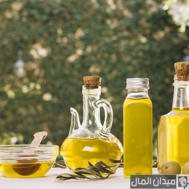 دراسة جدوى مصنع زيت زيتون