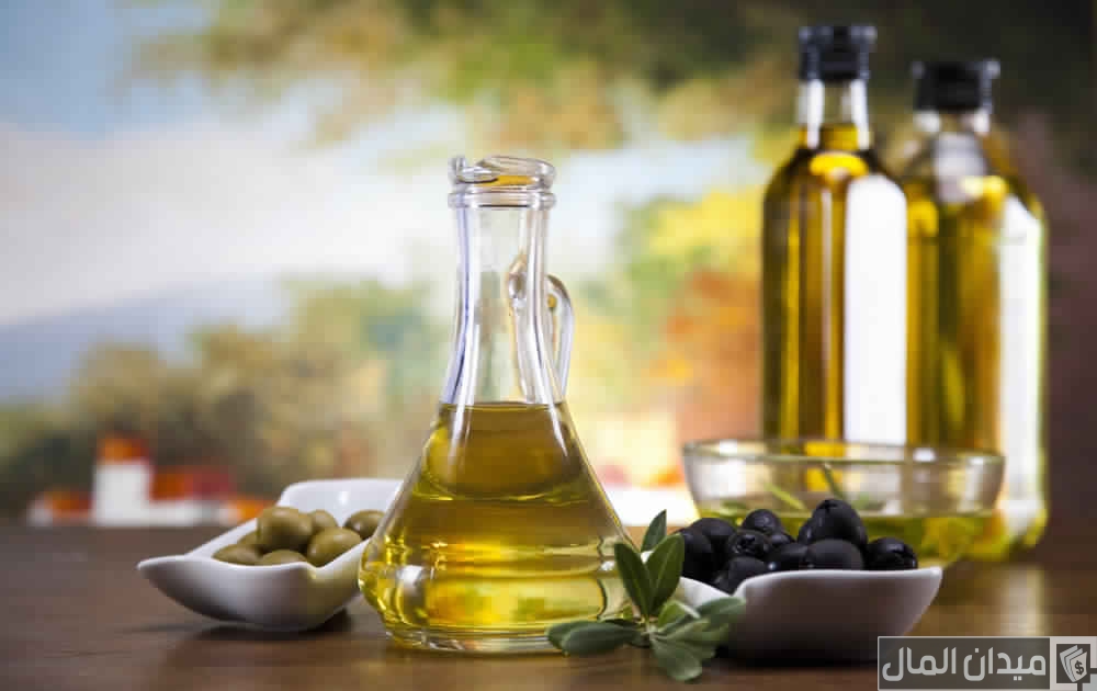دراسة جدوى معصرة زيت زيتون وأرباحها الشهرية