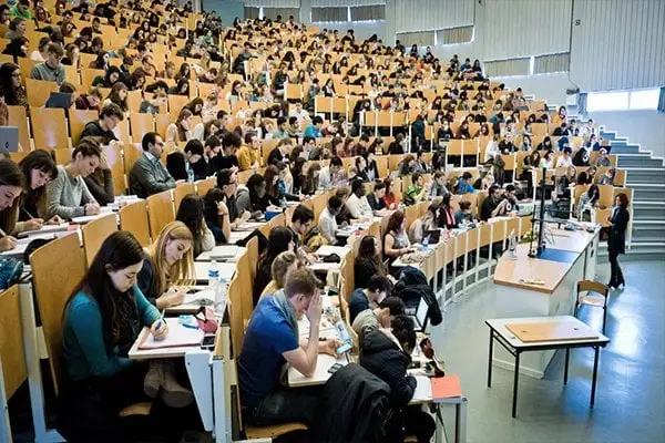 راتب الدكتور الجامعي المصري في السعودية بالريال السعودي