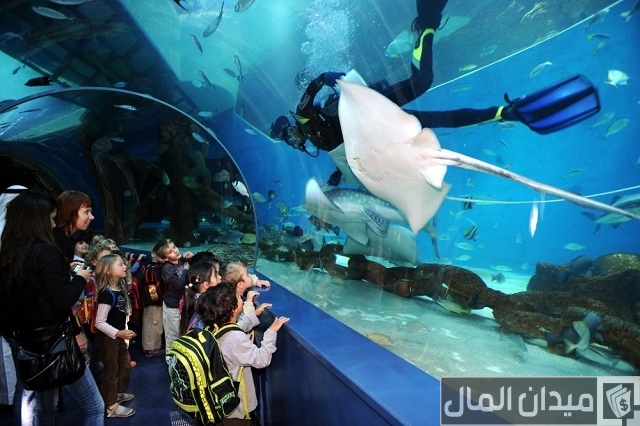 رقم الاتصال مربى الشارقة أكواربوم رقم الاتصال مربى الشارقة أكواربوم