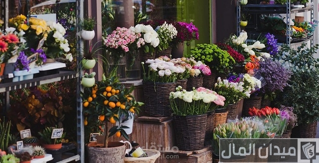 فتح محل بيع ورد في الإمارات فتح محل بيع ورد في الإمارات