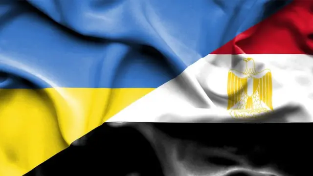 ماذا تستورد مصر من أوكرانيا