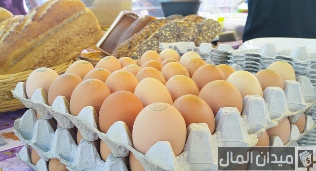 مشروع تجارة بيض الدجاج