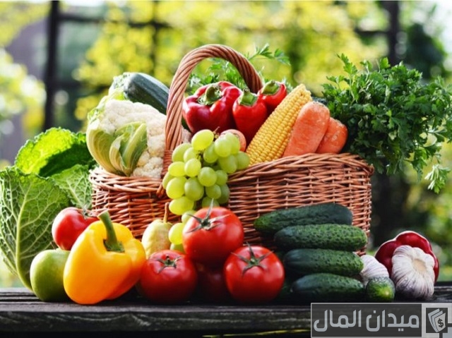 مشروع توزيع الخضار على المحلات