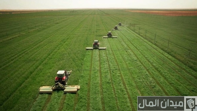 أفكار مشاريع زراعية في السعودية