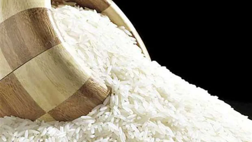 دراسة جدوى مشروع شراء الأرز من الفلاحين وتوريده إلى المضارب وأرباح المشروع الشهرية
