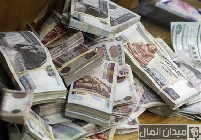 مشروع في حدود 40 ألف جنيه