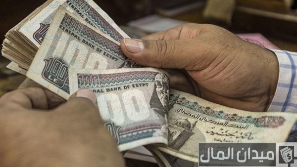 فكرة مشروع في حدود 40 ألف جنيه مربح