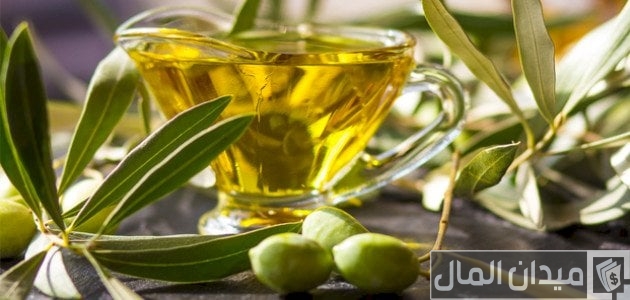 تكلفة مشروع معصرة زيت الزيتون في الجزائر وأرباحها الشهرية