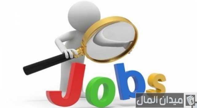 مصادر البحث عن وظيفة مصادر الحصول على الوظائف
