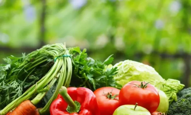 أسرع الخضروات إنتاجًا أسرع الخضروات إنتاجًا