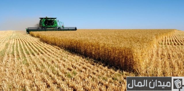 أشهر المحاصيل الزراعية في الوطن العربي