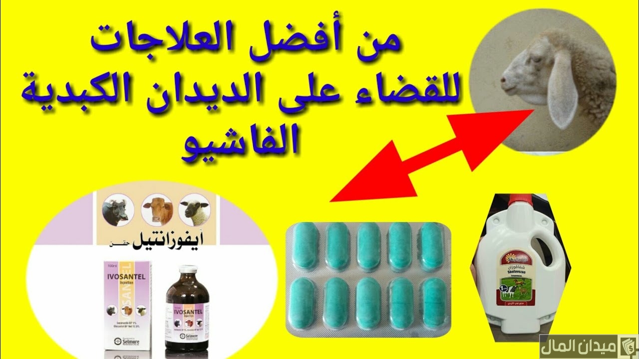 أفضل علاج للديدان عند الغنم