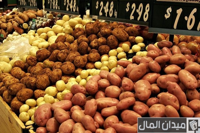 أنواع البطاطس واستخداماتها أنواع البطاطس واستخداماتها