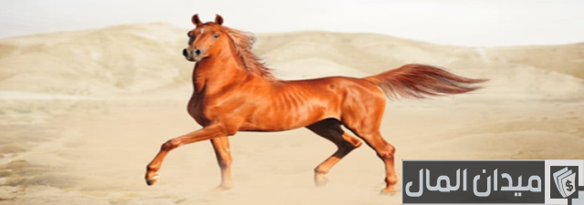 أنواع الخيول وأسمائها أنواع الخيول وأسمائها