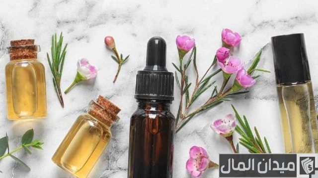 أنواع النباتات التي تتحول إلى منتجات صناعية