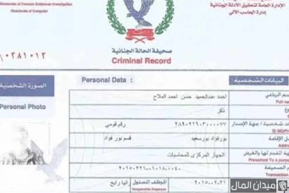 هل يمكن استخراج الفيش من أي قسم في مصر؟