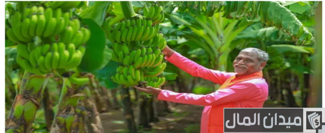 اكثر دولة في العالم انتاجا للموز