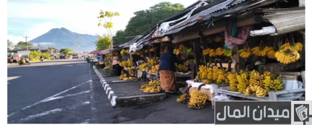 اكثر دولة في العالم انتاجا للموز