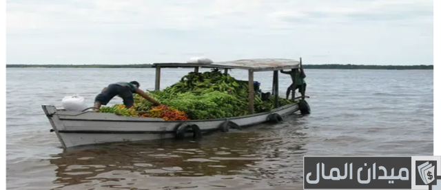 اكثر دولة في العالم انتاجا للموز