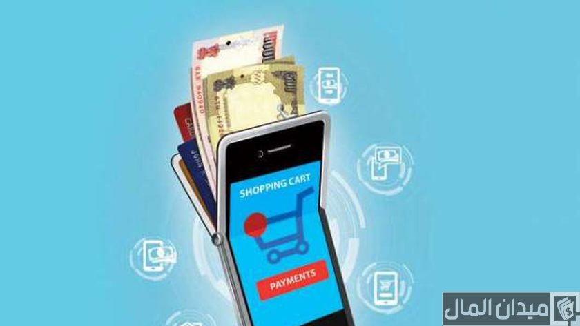هل لديك محافظ إلكترونية نشطة؟ إليك خطوات الاستعلام عنها بسهولة