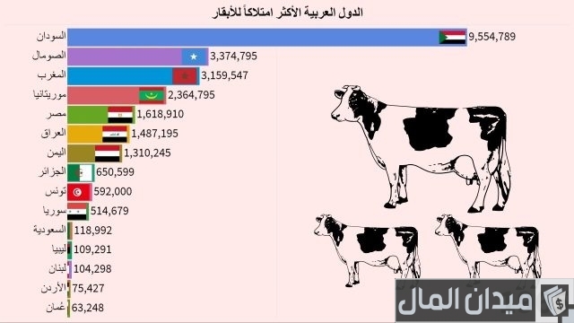 الدول العربية الأكثر امتلاكًا للأبقار