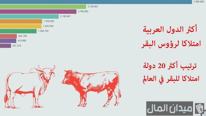 ترتيب الدول العربية من حيث عدد الأبقار في 2025: من الأولى؟ وأين تقع مصر والسعودية