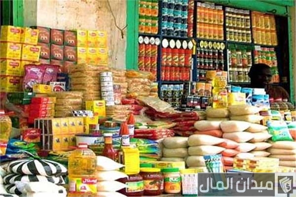 دراسة جدوى مشروع استيراد مواد غذائية وأرباحه الشهرية