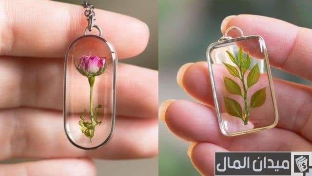 دراسة جدوى مشروع ريزن دراسة جدوى مشروع ريزن