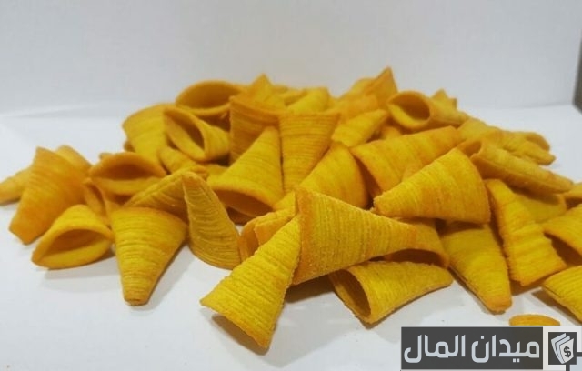 دراسة جدوى مصنع كاراتيه دراسة جدوى مصنع كاراتيه