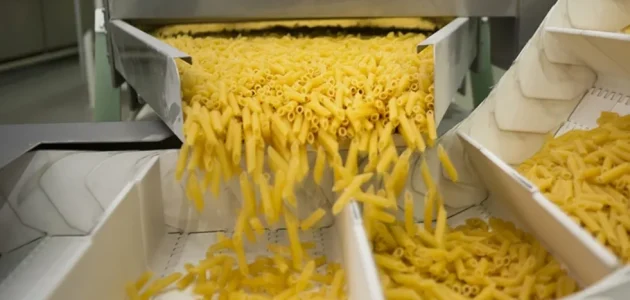 دراسة جدوى مصنع مكرونة