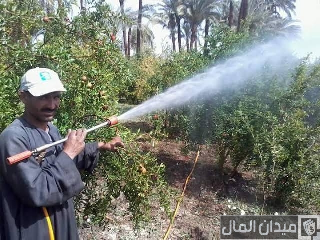 رش الزيوت المعدنية