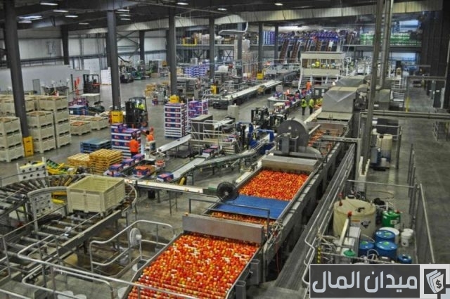 شركات تصدير الخضروات والفاكهة شركات تصدير الخضروات والفاكهة