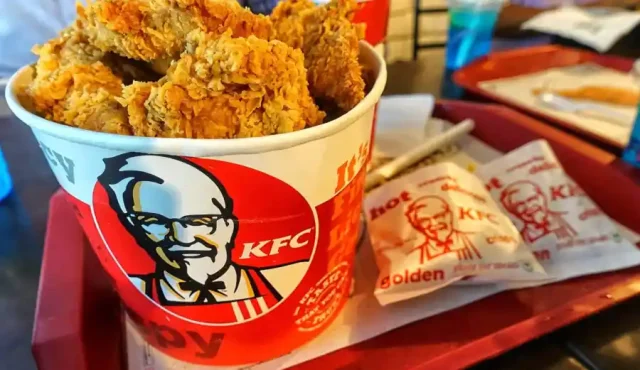 عدد فروع كنتاكي في مصر عدد فروع كنتاكي في مصر