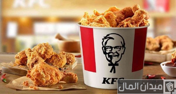 كم عدد فروع دجاج كنتاكي في مصر