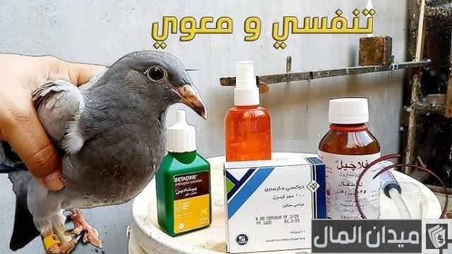 علاج أمراض الحمام علاج أمراض الحمام