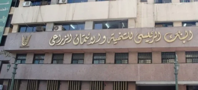 قروض الزواج من بنك التنمية  قروض الزواج من بنك التنمية