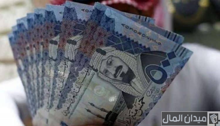 هل يمكن الحصول على قروض للنساء بدون كفيل؟.. “الهيئة العامة” تجيب