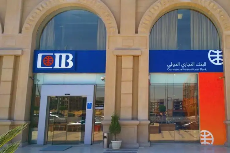 كم عدد فروع بنك cib
