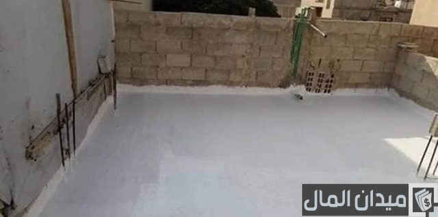 كيفية زراعة أسطح المنازل  كيفية زراعة أسطح المنازل