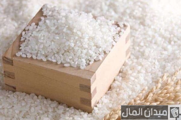 دراسة جدوى مشروع تجارة الأرز الأبيض وأرباحه الشهرية
