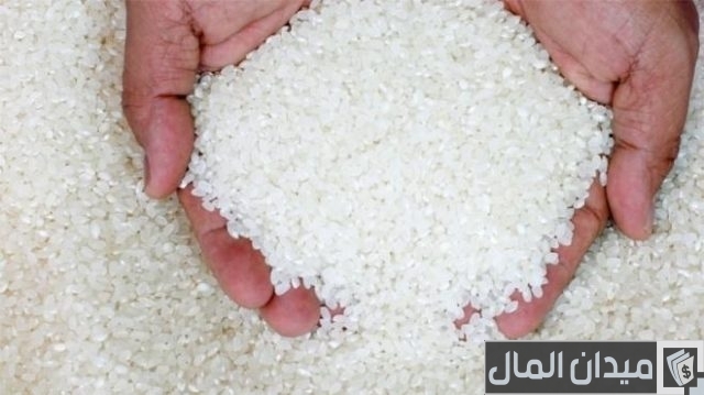 مشروع تجارة الأرز الأبيض مشروع تجارة الأرز الأبيض