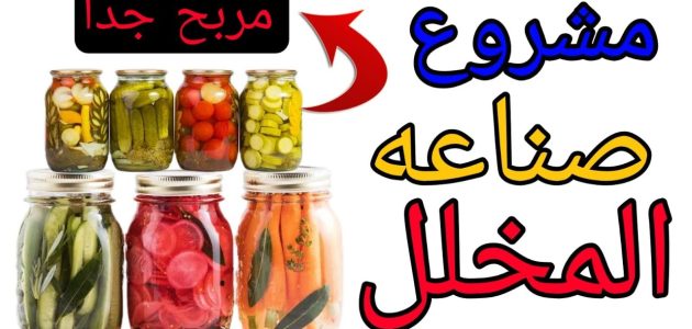 مشروع صناعة المخللات