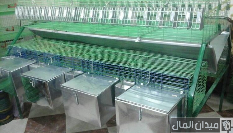 دراسة جدوى مشروع صناعة بطاريات أرانب مشروع مربح جداً وأرباحه الشهرية
