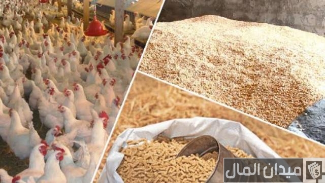  مشروع معمل تفريخ دواجن