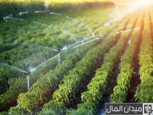 معالجة ملوحة مياه الري الصحيحة معالجة ملوحة مياه الري الصحيحة