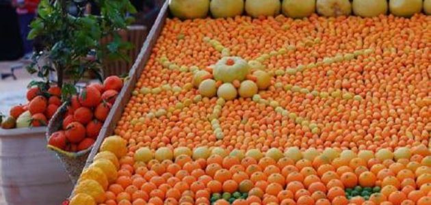 موسم الفواكه الصيفية في العلا يبدأ غداً ويعد بفرص استثمارية واعدة